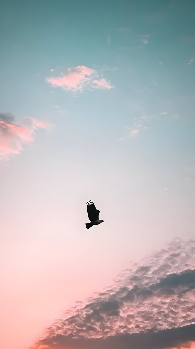 Lightweight, by design.